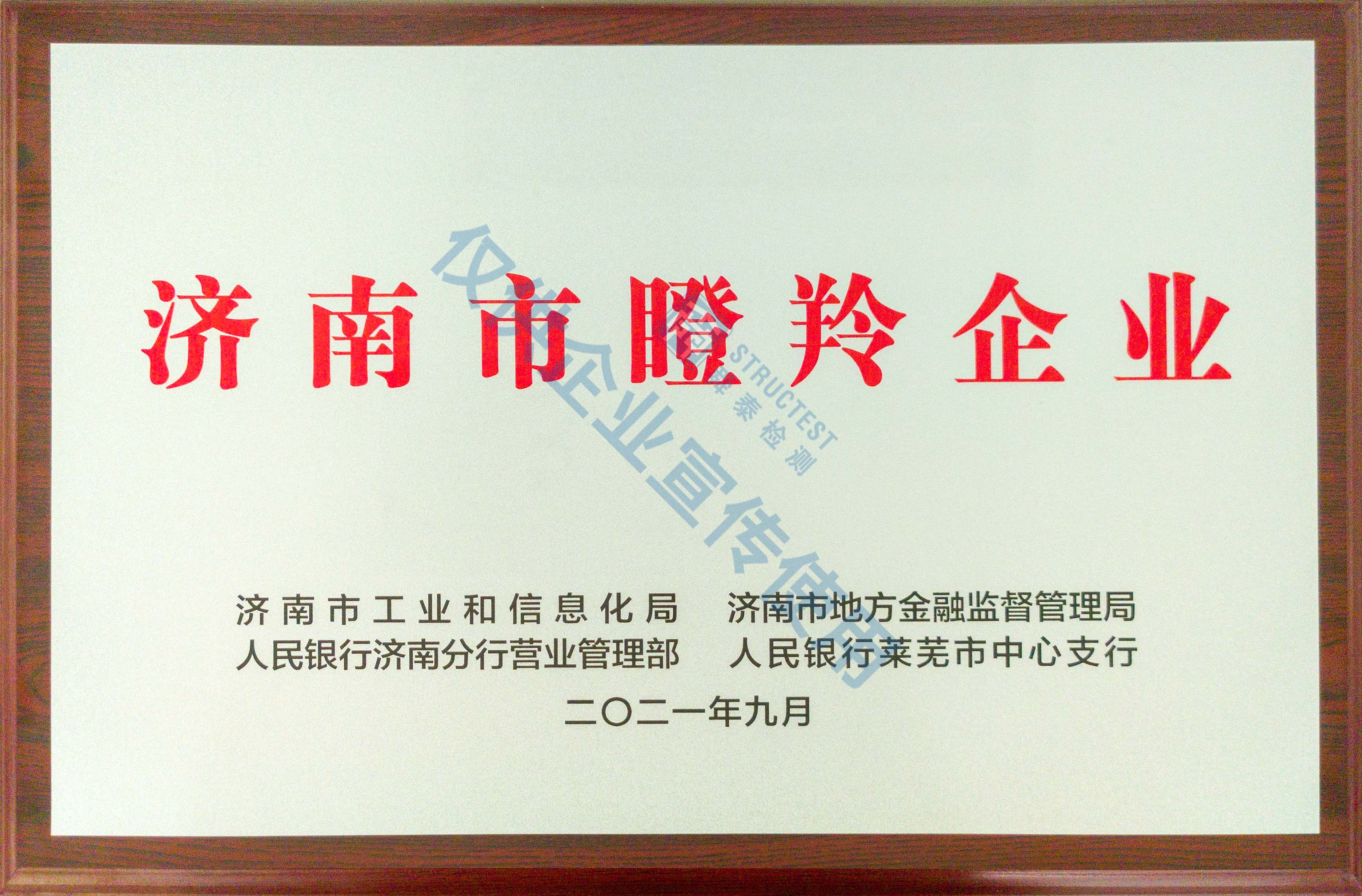 济南市瞪羚企业