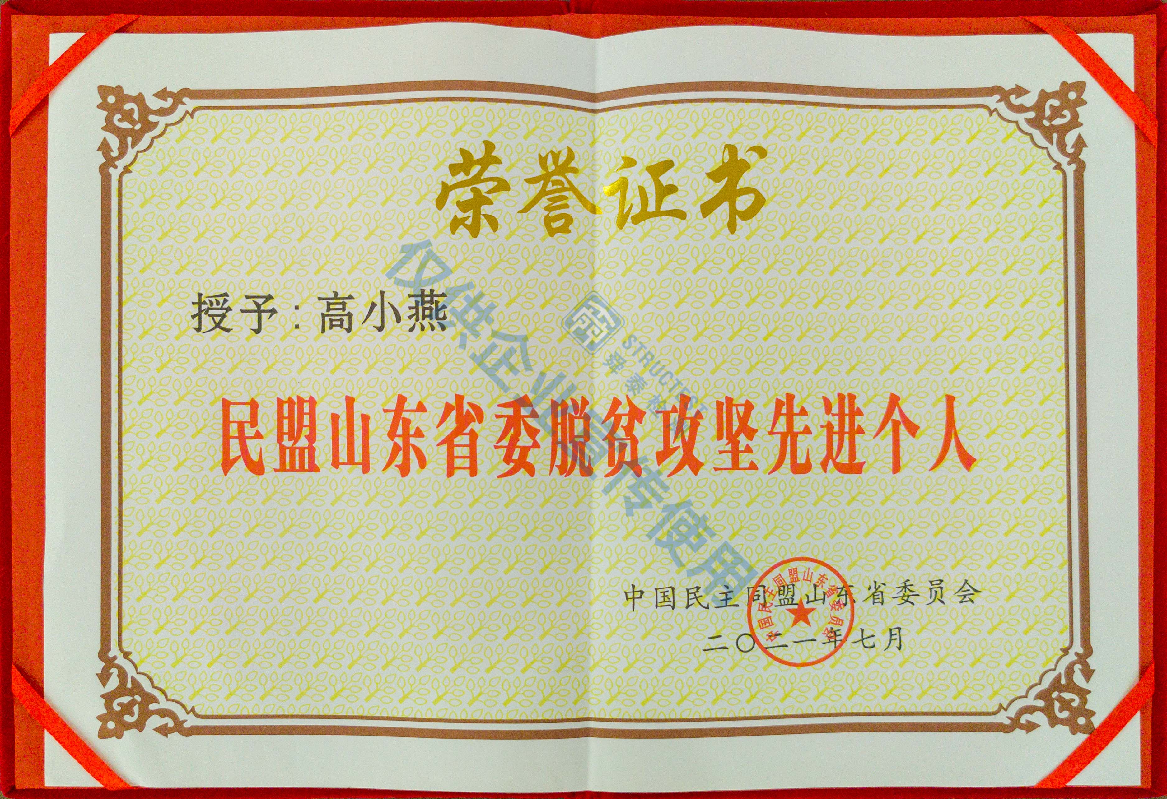 民盟山东省委脱贫攻坚先进个人